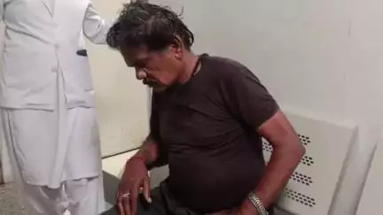 छिंदवाड़ा नगर: हवन के दौरान मधुमक्खियों का हमला, दर्जन भर लोग घायल, एक वृद्ध गंभीर हालत में अस्पताल में भर्ती