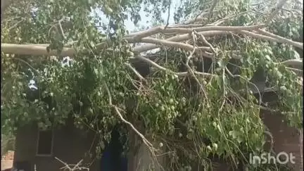 कुलपहाड़: तेज आंधी-तूफान का कहर: महुआ गांव में किसान के मकान का टप्पर उड़ा, पेड़ गिरने से हुआ भारी नुकसान