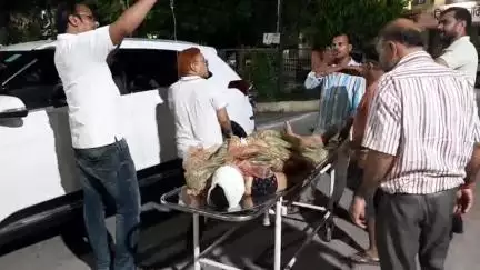 मैनपुरी: भोगांव क्षेत्र में ट्रैक्टर ने ऑटो में मारी टक्कर, एक महिला गंभीर घायल, जिला अस्पताल से सैफई रेफर