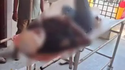 सैदपुर: खजुरा गांव में पेड़ से जामुन तोड़ रहे 12 वर्षीय बालक पर गिरी आकाशीय बिजली, हुई मौत