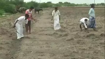 ಬಳ್ಳಾರಿ: ಜಿಲ್ಲೆಯಲ್ಲಿ ಕಳೆದ ಒಂದು ವಾರದಿಂದ ಉತ್ತಮ ಮಳೆ, ಚುರುಕುಗೊಂಡ ಕೃಷಿ ಚಟುವಟಿಕೆಗಳು