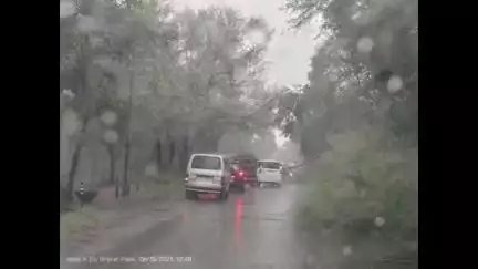 पांकी: पांकी मेदनी नगर मुख्य रोड नीमा चक में पेड़ गिरने से सड़क बाधित, वाहनों की लगी लंबी कतार