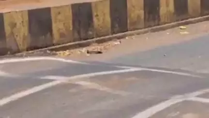 साजा: बेरला मुख्यालय में ब्रेकर बनाने को लेकर कांग्रेस जिला अध्यक्ष आशीष छाबड़ा ने कलेक्टर के नाम SDM को सौंपा ज्ञापन
