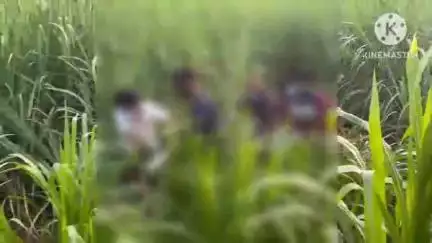 मिरज: बेपत्ता वृद्धाचा मृतदेह आरग येथे शेतात सडलेल्या अवस्थेत आला मिळून ; मिरज ग्रामीण पोलीस स्टेशन मध्ये झाली नोंद
