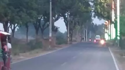 सिराथू: कड़ा इलाके में बढ़ते जा रहे नीलगाय के झुण्ड से राहगीरों को खतरा, किसानों का भी हो रहा नुकसान #jansamasya