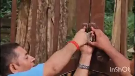 पलिया: दुधवा नेशनल पार्क का दरवाज़ा आज से बंद, ठहर गया जंगल सफारी का रोमांच, नवंबर में फिर दिखेगा वन्यजीवों का दीदार