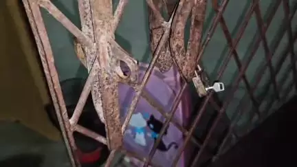 কৃষ্ণনগর ১: বাড়িতে না থাকার সুযোগে ভীমপুর থানার আসাননগর এলাকায় ভর সন্ধ্যেবেলায় চুরির ঘটনায় চাঞ্চল্য,ঘটনাস্থলে ভীমপুর থানার পুলিশ