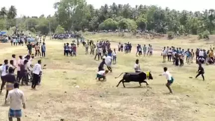 சிங்கம்புனரி: கொடுங்குன்றம் பட்டியில் கோயில் திருவிழாவை முன்னிட்டு அனுமதியின்றி நடைபெற்ற மஞ்சுவிரட்டு - 5 பேர் மீது வழக்கு பதிவு