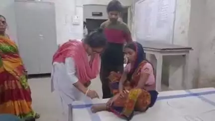 असरगंज: रहमतपुर बासा मंडल टोला गांव के पास मूंग के खेत से लौट रही महिला को सांप ने काटा, इलाज जारी
