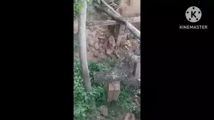 चलकुशा: चौबे में रिहायशी क्षेत्र में घुसा सांप का जोड़ा, ग्रामीणों में भय का माहौल