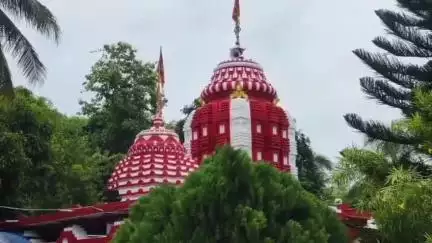 ପୋଲସରା: ରଜ ସଂକ୍ରାନ୍ତିରେ ଜନ ସମୁଦ୍ର ପାଲଟିଲା ମା' ସିଂହାସନୀଙ୍କ ପୀଠ, ମାନସିକ ପୂରଣ ପରେ ମୁଣ୍ଡନ କଲେ ଶତାଧିକ