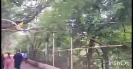 लातूर: शहरातील नाना नानी पार्क येथील शोभेची लोखंडी जाळी, पाईप व शौचालयाची दुरावस्था, दुरुस्तीची प्रभुराज प्रतिष्ठानची मागणी