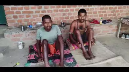 लातेहार: विभिन्न क्षेत्रों के दो लोगों को जहरीले सांप ने काटा, चितार पुर गांव में जड़ी बूटी से इलाज, इलाके में चर्चा