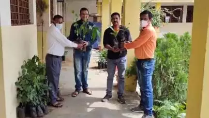 चांद: चांद नगर में टीचर वेलफेयर सोसाइटी के सदस्यों द्वारा पौधारोपण