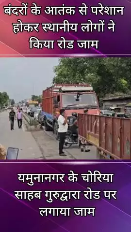 जगाधरी: यमुनानगर: बंदरों के आतंक से परेशान स्थानीय लोगों ने किया रोड जाम