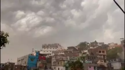 पच्छाद: सिरमौर में बारिश के बाद गर्मी से मिली राहत, टमाटर, शिमला मिर्च और अदरक के लिए यह बारिश संजीवनी