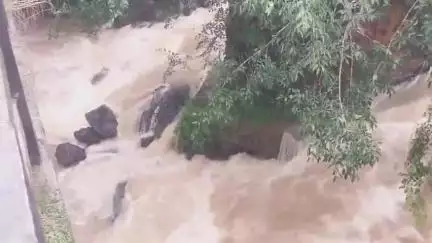 உதகமண்டலம்: கனமழை காரணமாக நீலகிரி மாவட்டத்தில் 4 தாலுகாவில் உள்ள பள்ளிகளுக்கு மட்டும் விடுமுறை