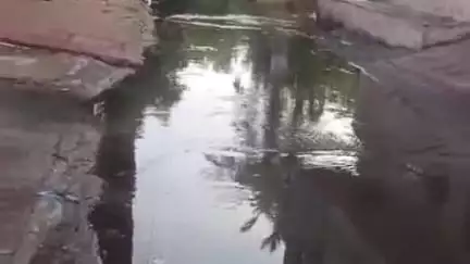 लाडपुरा: कोटा शहर में देर रात हुई तेज बारिश से बालाजी नगर में नगर निगम की सफाई व्यवस्था की खुली पोल, लोग परेशान
