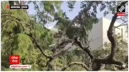 Ahmedabad Plane Crash: आर्यन ने रिकॉर्ड किया था विमान हादसे का सबसे भयानक वायरल वीडियो