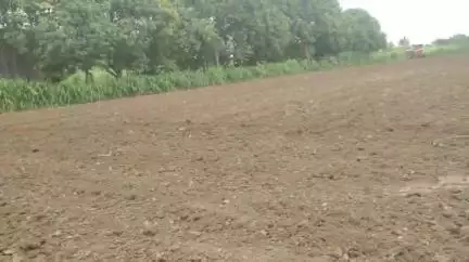 चिखली: मनुबाई येथे शेतपेरणीच्या कारणावरून वाद परस्पर तक्रारीवरून अंडेरा पोलिसात गुन्हा दाखल