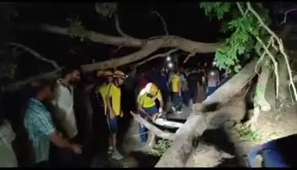 ऋषिकेश: चीला बाईपास लक्ष्मण झूला रोड पर पेड़ गिरने से सड़क पर लगा लंबा जाम, SDRF ने किया मार्ग क्लियर