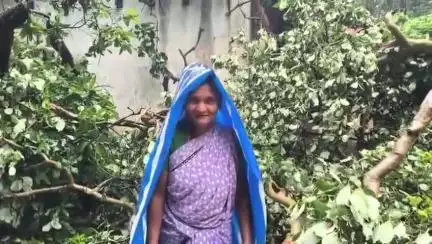 ಸೂಪಾ: ಸಾಂಗ್ವೆ ಗ್ರಾಮದಲ್ಲಿ ಏಕಕಾಲದಲ್ಲಿ ಮನೆ‌ ಮೇಲೆ ಉರುಳಿದ ಮೂರು ಮರಗಳು : ಅಪಾರ ಹಾನಿ, ಸೂಕ್ತ ಪರಿಹಾರಕ್ಕಾಗಿ ಮನವಿ #localissue