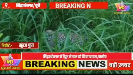 सिद्धार्थनगर: तेंदुए ने चार को किया घायल,ग्रामीण दहशत में,वन विभाग ड्रोन से खोजबीन में जुटी