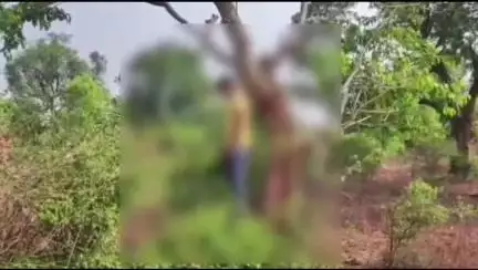 पन्ना: ग्राम माझा: वीडियो कॉल पर बात करते हुए पेड़ पर फांसी से झूला युवक, राहगीरों की सूचना पर पहुंची पुलिस