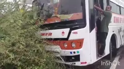 ધારી: ચલાલા નજીકમાં નેજાધારી ખાનગી બસમાં અકસ્માત, કોઈ પણ જાનહાનિ નથી