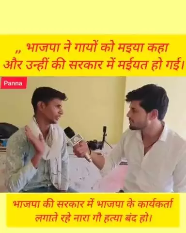 पन्ना:भाजपा की सरकार में गायों की हुई बुरी दुर्दशा भाजपा का कार्यकर्ता लगा रहे नारा गौ हत्या बंद हो #panna #varil #mp