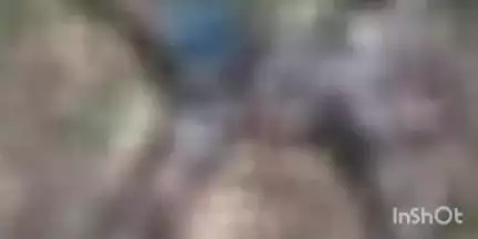 फतुहा: महारानी चौक रेलवे ओवर ब्रिज के पास आम के बगीचे में मिला अज्ञात शव, हत्या की आशंका