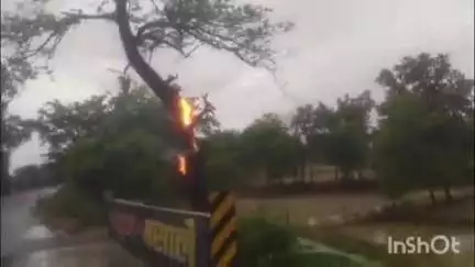 दातागंज: दातागंज क्षेत्र के बरेली रोड दिलवारी के पास आकाशीय बिजली गिरने से पेड़ में लगी आग