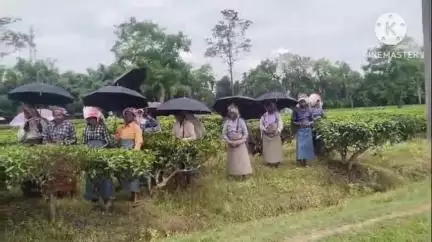 শদিয়া: টিপুক চাহ বাগিচাত শ্ৰমিকসকলক খোৱাপানী যোগান নধৰাৰ অভিযোগ শ্রমিকৰ