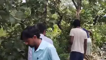 বাঘমুণ্ডী: দিনের আলোয় তুন্তুড়ী গ্রামের বাইরে একজন ব্যাংক মিত্রকে আগ্নেয়াস্ত্র দেখিয়ে ছিনতাই এর ঘটনায় চাঞ্চল্য ছড়াল