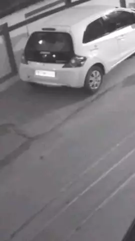 जयपुर: जयपुर के श्याम नगर थाना इलाके में सड़क पर चलती महिला के साथ लूट की कोशिश, सीसीटीवी में कैद हुई बदमाश की तस्वीर