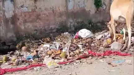 परभणी: जिल्हा सामान्य रुग्णालय परिसरातील रस्त्यावर कचऱ्याचे ढिगारे #jansamasya
