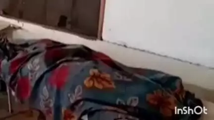 रामानुजगंज: चाकी गांव में हाथी के हमले से एक महिला की हुई मौत, क्षेत्र में फैला दहशत का माहौल