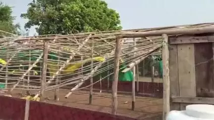 रैपुरा: रैपुरा में तेज़ आंधी के साथ हुई मूसलाधार बारिश; कई जगह पर टूटकर गिरे पेड़ व तार, पोल्ट्री फार्म मालिक को हुआ भारी नुकसान