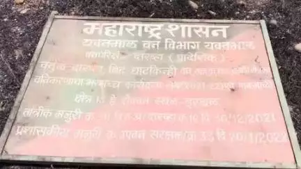 दारव्हा: तालुक्यातील वनपरिक्षेत्रातील इरथळ येथील  वनीकरण जळून खाक,कोट्यवधी रुपयांचा सरकारी निधी वाया