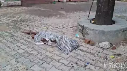 धामपुर: अफजलगढ़ सीएचसी के गेट के पास मिला अज्ञात बुजुर्ग का शव, पुलिस ने शव को सीलकर पोस्टमार्टम के लिए भेजा