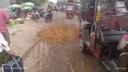 खागा: खागा नवीन सब्जी मंडी में किसान और आढ़तियों को सड़ी सब्जी और आम की बदबू से परेशानी, खागा का मामला