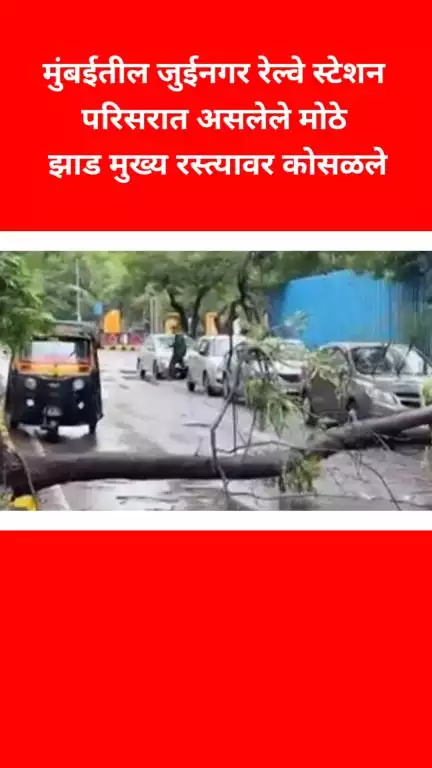 मुंबईतील जुईनगर रेल्वे स्टेशन परिसरात असलेले मोठे  झाड मुख्य रस्त्यावर कोसळले