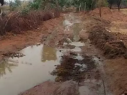 ग्राम पंचायत  टोरिया ग्राम कंचनपुरा सड़क पर निकलने में बहुत परेशान