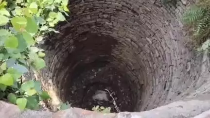 बटियागढ़: सिमरी गांव में सूखे कुएं में गिरा बैल, बचाव के प्रयास जारी