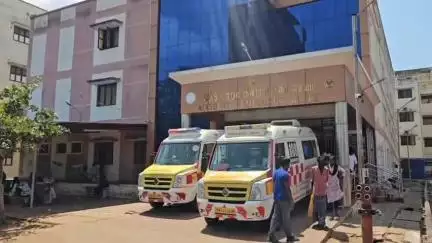 இளையாங்குடி: வண்டு கடித்து மாணவன் உட்பட 6 பேர் காயம் - 4 பேர் அரசு மருத்துவக் கல்லூரி மருத்துவமனையில் தீவிர சிகிச்சை
