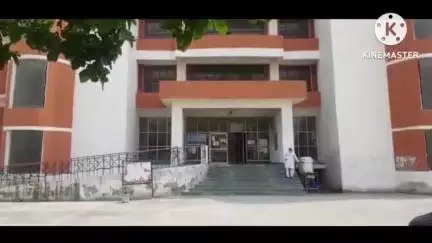 पानीपत: विश्व पर्यावरण दिवस पर पौधों की जगह टहनी लगा दी, सूखने पर पता चला