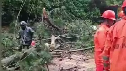 உதகமண்டலம்: ஊட்டி படகு இல்லம் சாலையில் பெரிய மரம் முறிந்து விழுந்து, போக்குவரத்து பெரிதும் பாதிப்பு – பொதுமக்கள் அவதி