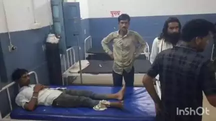 पटेरा: भाटिया गांव में घर में काम करते समय युवक को सांप ने काटा, इलाज जारी