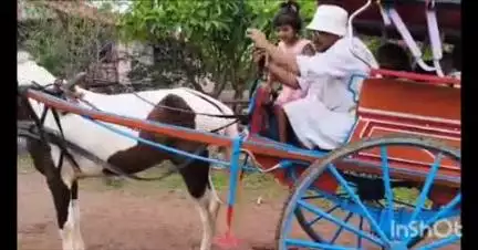 औसा: औसा तालुक्यातील हासेगाव येथे हॅप्पी व्हिलेजची मुलं पहिल्या दिवशी घोडा गाडीच्या टांग्यातून गेले शाळेत