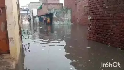 आगरा: टेढ़ी बगिया चौराहे के पास सड़क पर जलभराव बना समस्या का सबब, नगर निगम के दावों की खुली पोल
#jansamasya